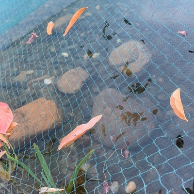 Bons ratons laveurs de Mesh Pond Netting Heron For de preuve superpuissante d'enfant