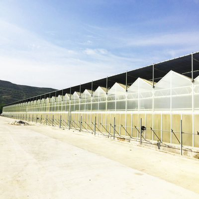 90 pour cent d'agro filet traité aux UV d'ombre pour le légume d'agriculture