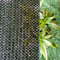 Tissu net d'ombre d'ombre de HDPE pour la fabrication de coupe-vent de jardin d'agri