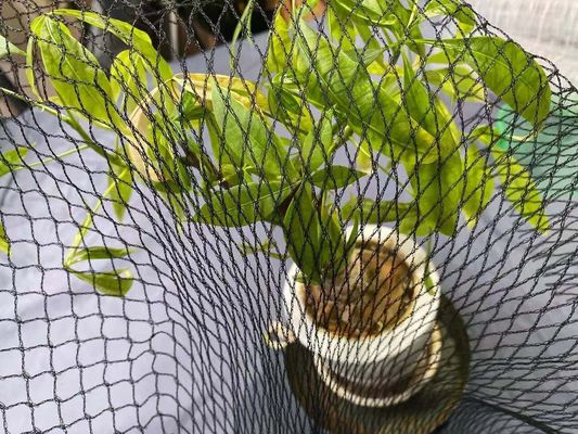 L'anti héron Koi Fish Pond Net Protection de piscine couvre le HDPE de 15ft x de 20ft