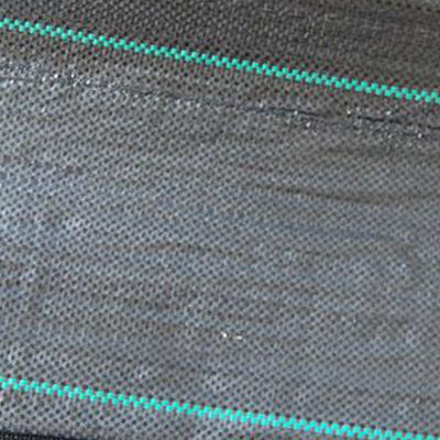 nattes industrielles de aménagement larges de mauvaise herbe de catégorie de 3m 3x 50 pour le potager