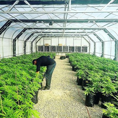 Fabrication en plastique d'ombre d'Agri de patio extérieur de 60% pour le potager