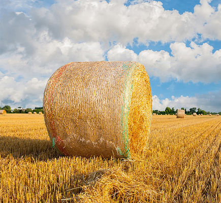 UV de plastique d'enveloppe de filet de la balle 8.33GSM anti avec la ligne d'avertissement